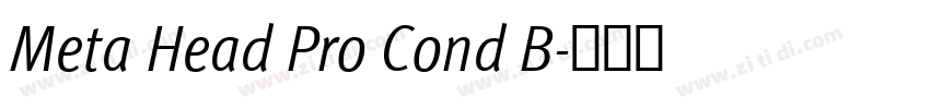 Meta Head Pro Cond B字体转换